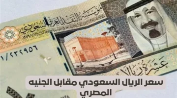 سعر الريال السعودي يسجل 13.80 جنيه للبيع في البنوك اليوم الاثنين